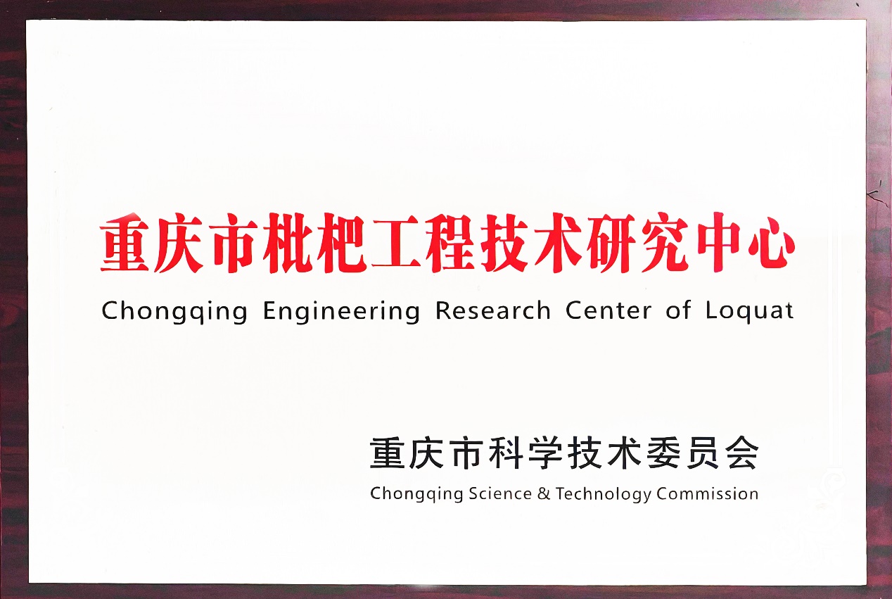 说明: F:\平台\枇杷工程技术中心\2026年\官网展示\授牌\授牌.jpg